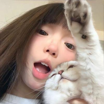 刺猬